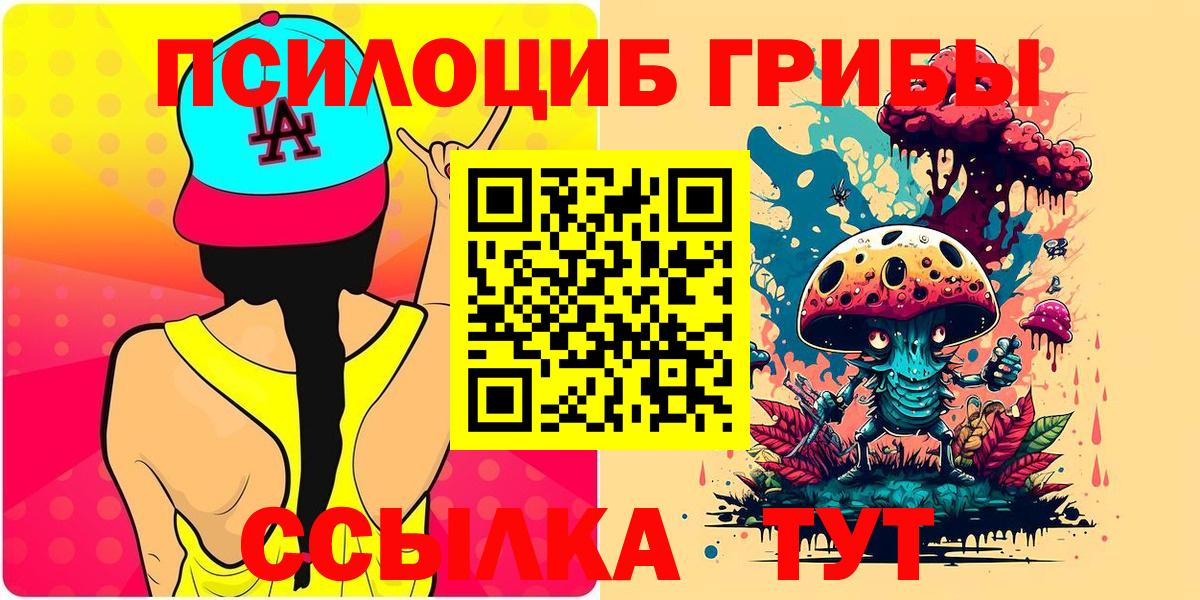 Галлюциногенные грибы MAGIC MUSHROOMS  Вход с VPN  Шатура  Псилоцибиновые грибы мицелий 