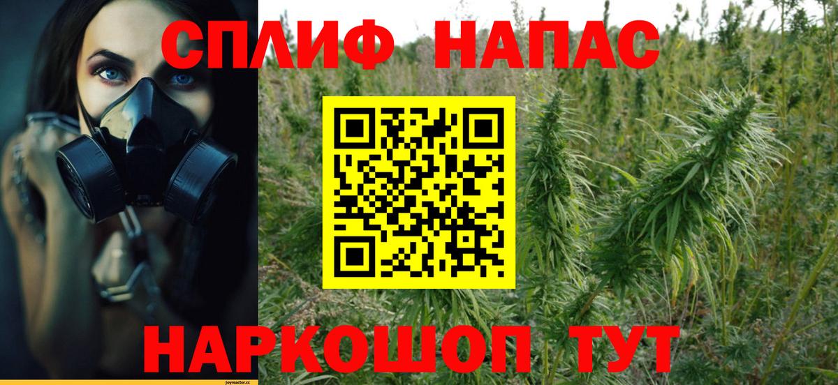 Шишки марихуана OG Kush Шатура
